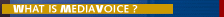 What is Mediavoice?